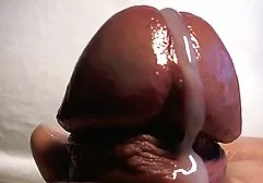 وحشیانه به خوبی otzharil مهمان فیلمهای طولانی سکسی غیر منتظره