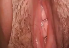 تقدیر در فیلمهای سکسی خانوادگی نقطه و همسر گربه در دهان